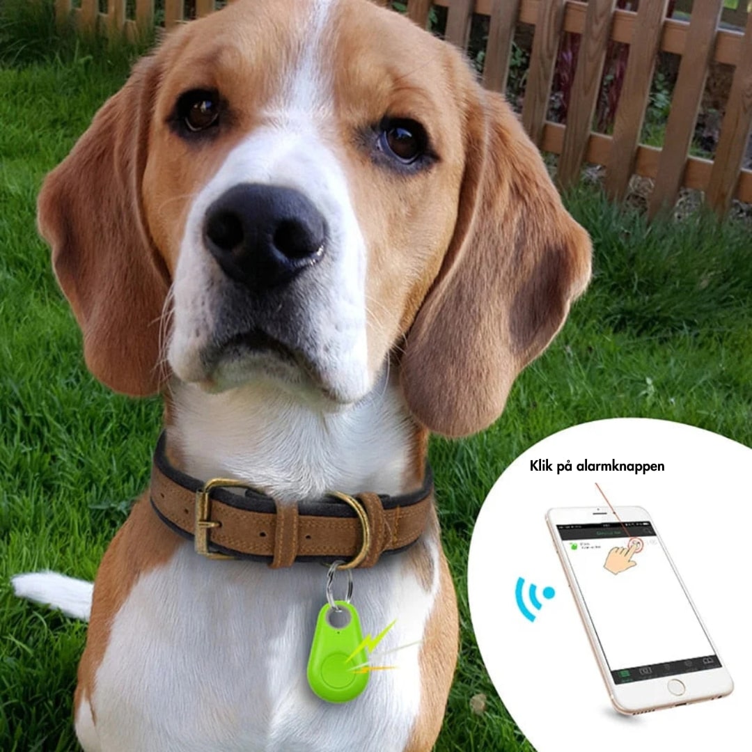 GPS Tracker mit Live-Tracking für Kinder, Haustiere und Wertsachen