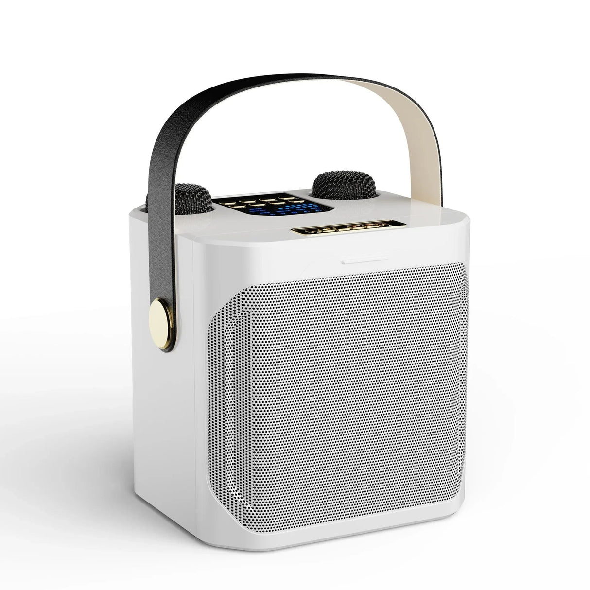Tragbarer Karaoke Bluetooth Lautsprecher mit 360° Surround und Subwoofer